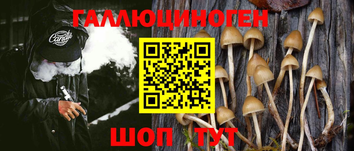 Галлюциногенные грибы мухоморы Шахты